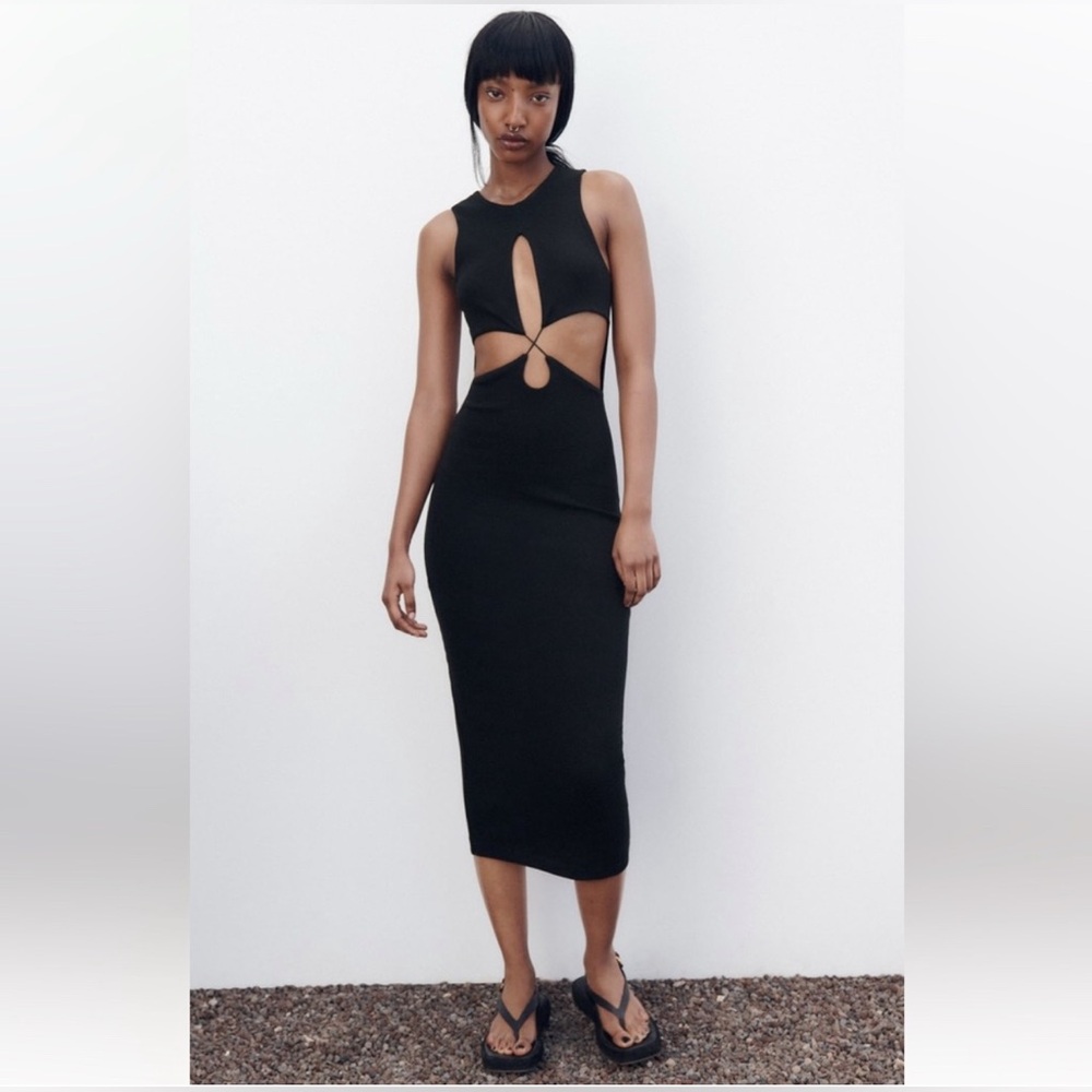 Zara | dress